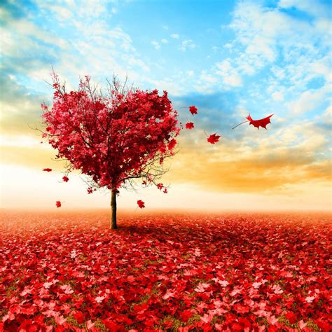 7 motion background love video | efek mentahan love bergerak. Love Tree wallpaper by ____S - 9b - Free on ZEDGE™