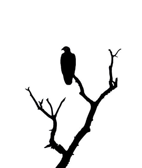 Eagle Perched Silhouette Illustrations Royalty Free Vector Graphics