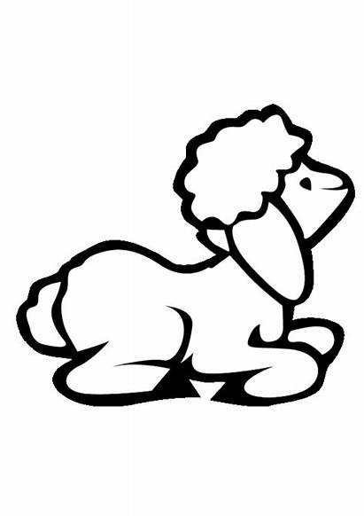 Lamb Sheep Coloring Clip Clipart Outline Pages