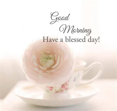 Each sunrise brings a new day filled with new hopes for a new beginning. Good Morning Have A Blessed Day Pictures, Photos, and ...