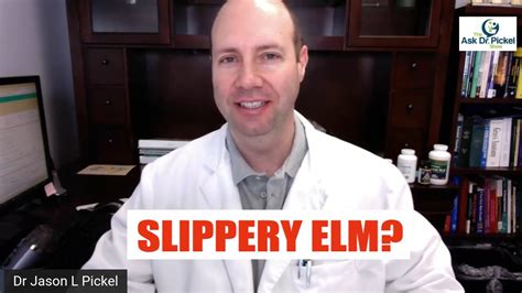 Slippery Elm Amazing For Gut Skin Throat Youtube