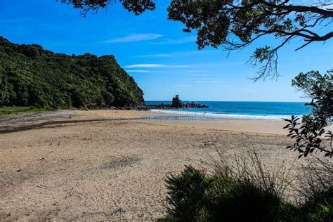 Spiaggia Della Nuova Zelanda Di Estate Immagine Stock Immagine Di