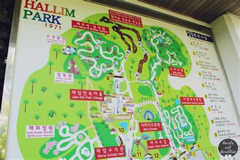 Tropical Hallim Park Jeju South Korea Swirls And Scribbles A