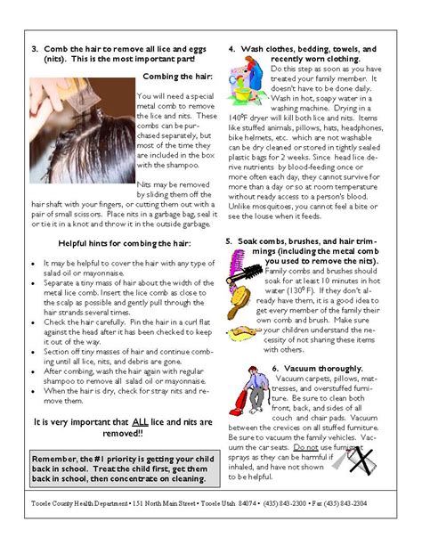 Facts About Head Lice Tooele County Health Department