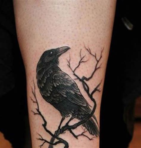 35 Odins Raven Tattoo Designs Images And Pictures Hd