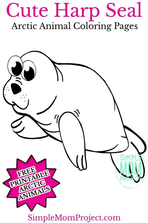 Free Printable Arctic Harp Seal Coloring Page Animal Coloring Pages
