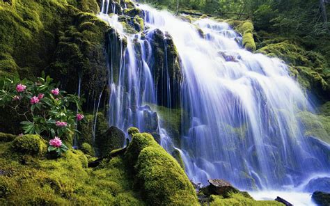 Waterfall Nature Wallpaper 2560x1600 3760