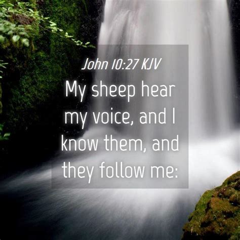 John 1027 Kjv My Sheep Hear My Voice And I Know Them And They