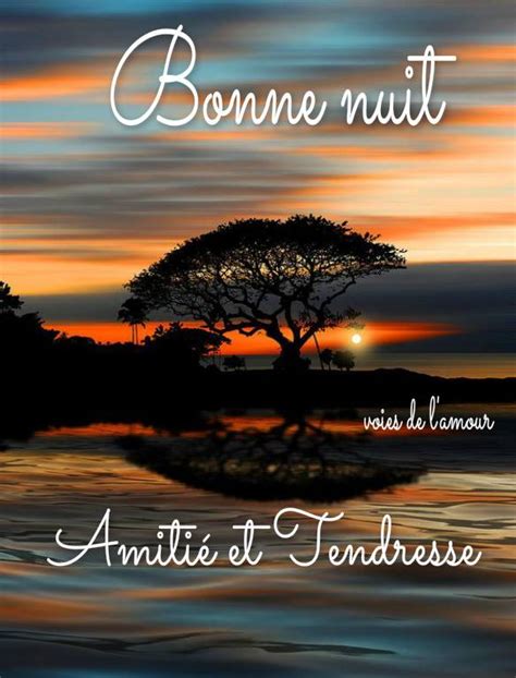 In other words, using bonne soirée (or bonne journée) has in fact more to do with your interlocutor's activity than it has to do with time or sunlight. Coucher De Soleil - Images, photos et illustrations ...