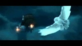 Hedwigs Death Scene in Harry Potter and the Deathly Hallows Part 1 (HD ...