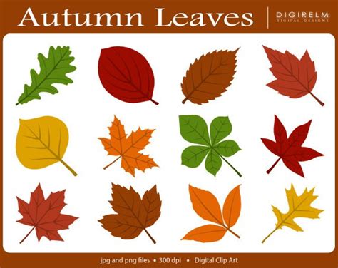 Items Similar To Autumn Leaves Clipart Digital Printable Clip Art On Etsy