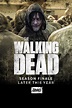 'The Walking Dead' Season 10 Finale Will Be Delayed Due To Coronavirus