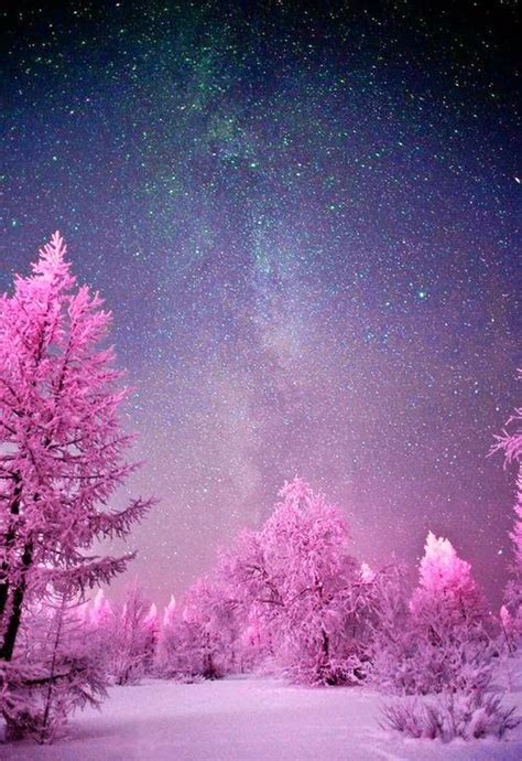 Night Sky Lights ~ Stunning Nature Nature Pinterest