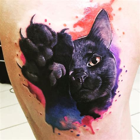 Amanda wright has been a tattoo artist in fredericksburg, virginia since 2011. cat realistic watercolor / aquarell tattoo beauty by ...