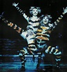 Cats 1998 Cast With Pictures | Care About Cats