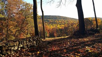 Pennsylvania Perry County Foliage Fall