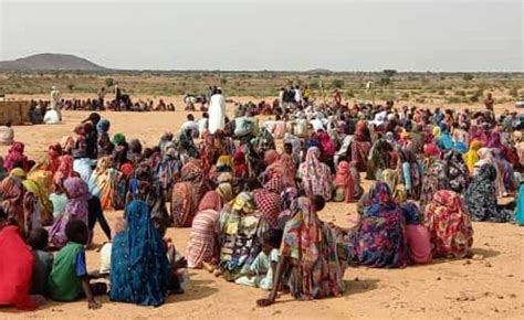 مفوضية اللاجئين تحذر من تصاعد العنف وانتهاكات حقوق الإنسان في دارفور