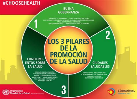 Alfabetización Sanitaria Para Mejorar La Salud Biblioteca Sant Joan
