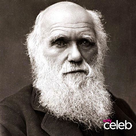 Best Charles Darwin Quotes The Naturalists Top 40 Quotes