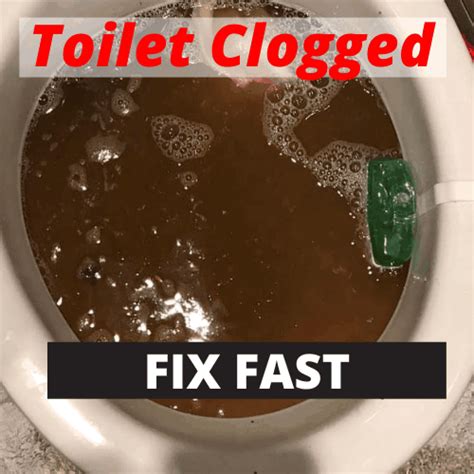 Toilet Is Clogged With Poop Fix It Fast And For Free
