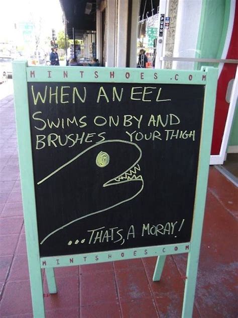 These Clever Sandwich Board Signs Are Funny Af A Moray