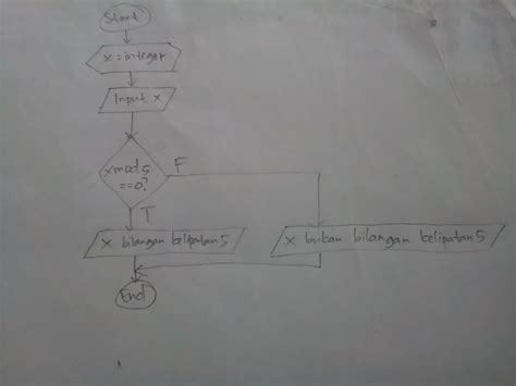 Apa Yang Dimaksud Penyajian Algoritma Dengan Pseudocode Dan Flowchart Bahwa Ini