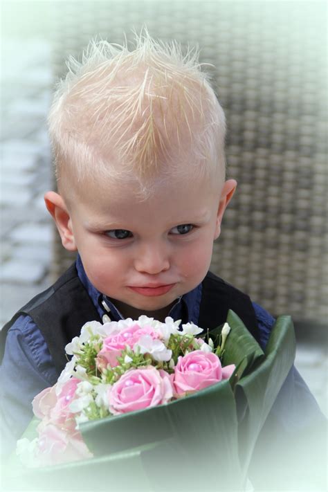 รูปภาพ คน ช่อดอกไม้ สีชมพู แต่งงาน ลูกชาย ทารก เด็กวัยหัดเดิน