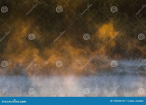 Morning Mist Over The Surface Of Water Stock Image Image Of Light