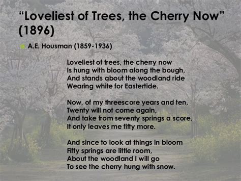 Loveliest Of Trees The Cherry Now By A E Housman Poems Poetry Lovely