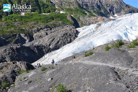 Seward Exit Glacier Naturalist Hike