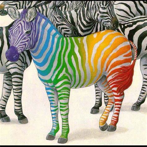 Creative Zebra Art Dieren Kleuren Zebras