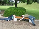 Playing dead game | Photo