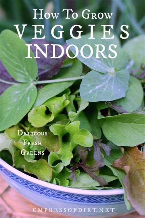 How To Grow Vegetables Indoors Year Round Empress Of Dirt
