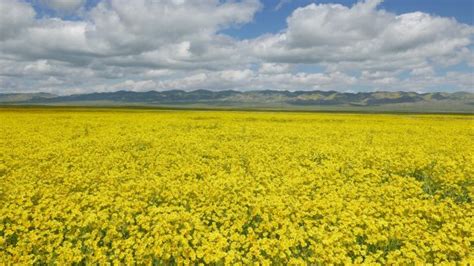 Carrizo Plain National Monument Maricopa Ca Top Tips Before You Go