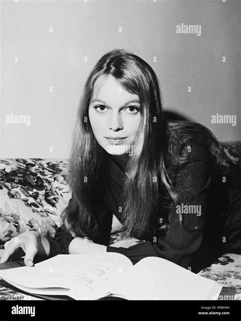 Year 1965 Stars Mia Farrow Stock Photo Alamy