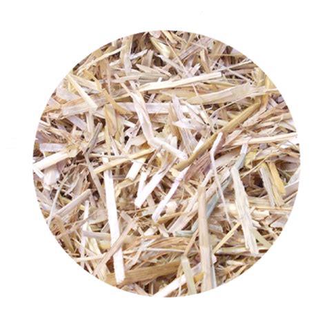 Wheat Straw Bedding Bedding For Horses And Other Animals Hawthorn