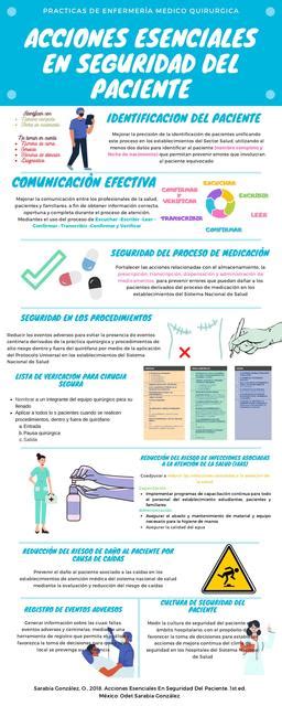 Infografía Acciones Esenciales En Seguridad Del Paciente Raul Cortes
