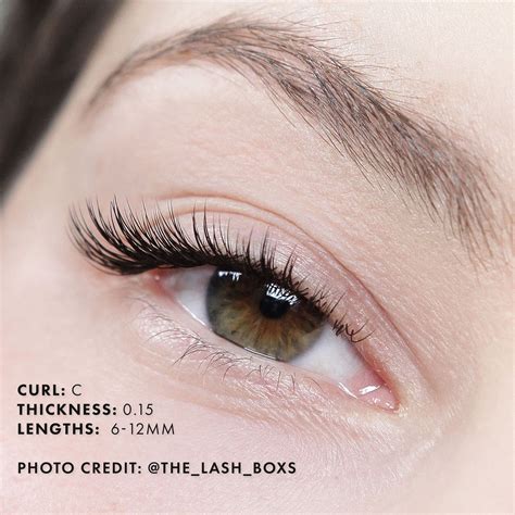 Classic Mayfair Lashes 0 15 In 2022 Lashes Curl Lashes Eyelash Extensions