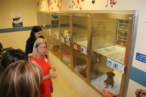 Guests view the adoption rooms.