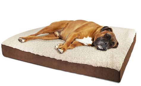 5 Best Orthopedic Dog Bed Reviews With Videos