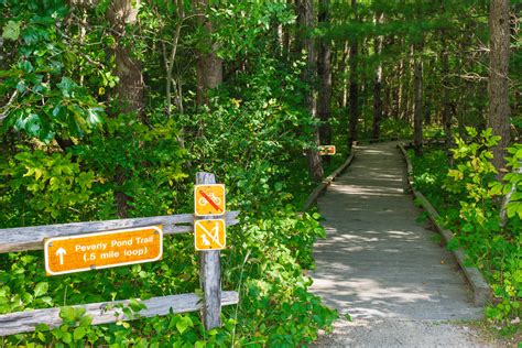 15 Best Hikes For New Hampshire Fall Foliage Outdoor Project