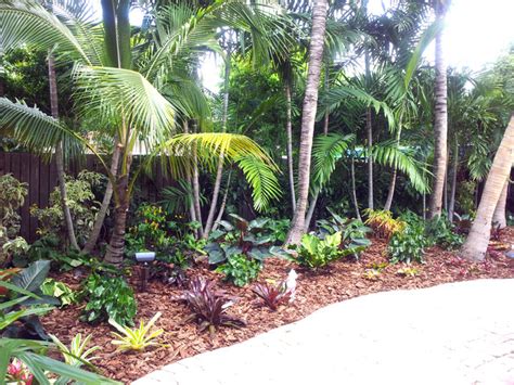 Tropical Paradise Backyard Makeover Tropical Landscape Miami
