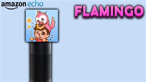 Amazon Echo Flamingo Version Introducing Amazon Albert Youtube