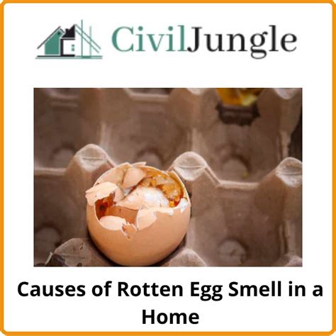 How To Get Rid Of Rotten Egg Smell In House