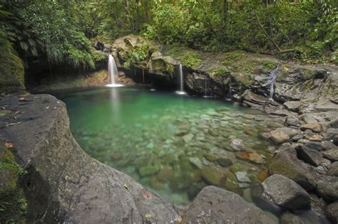 Bassin Paradise Ville De Capesterre Belle Eau Guadeloupe Caraibes Eau