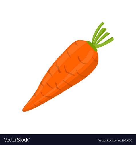 Carrot Cartoon Root Vegetable Isolated Icon Vector Image