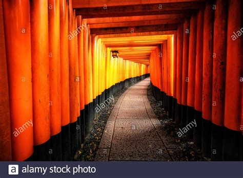 Red Torii Gates In Fushimi Inari Shrine In Kyoto Japan It Is The