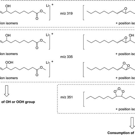 Chemical Structures Of Products Resulting From Methyl Oleate Or