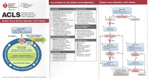 Mastering Heartcode Acls 2024 Exam Unveiling The Perfect Answers