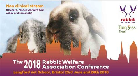 2018 Owners Conference Notes Download Rabbit Welfare Shop